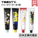 TOOSTY トゥースティー トゥースペースト 80g TOOTHPASTE 歯磨き粉 無添加 デンタルケア ミントチョコ レモンソルベ カスタードプリン ルッコラ 韓コス 韓国コスメ 国内発送 自社倉庫発送