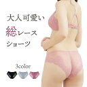 総レースショーツ レディース スタンダード パンツ 下着 コットン かわいい セクシー プレゼント ルルクシェル Lulu Kushel.