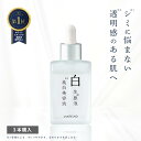 楽天1位3冠【3本セット】 美白美容液 トラネキサム酸 高濃度 美白 ニキビ跡 色素沈着 シミ シミ取り シミ消し しみ そばかす 肝斑 敏感肌 ランテルノ LANTELNO 白生原液美白美容液 白生 医薬部外品