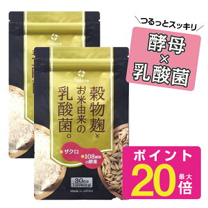 麹 乳酸菌サプリ 穀物麹とお米由来の乳酸菌 腸活 サプリ 腸内環境 腸内フローラ サプリ ダイエット　植物性乳酸菌　腸内環境　108種類の酵素　【2袋セット　送料無料】ザクロ抽出物　Salute　サルーテ　1日3粒目安　日本製