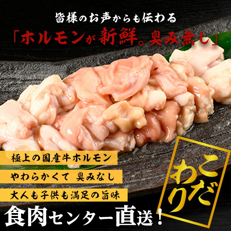 国産牛ホルモンもつ鍋厳選ホルモン