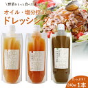 新発売 【 無添加 減塩 低脂質 ドレッシング スパウトパウチ 】【 好きな1本選択 】 玉ねぎ 豆板醤 胡麻ぽん酢 240ml 1本選択 国産野菜 人参 子ども ピリ辛 サラダ 肉料理 魚料理 カルパッチョ パスタ 時短 ギフト 人気 敬老の日