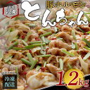 母の日 まだ間に合う 昭和のとんちゃん 国産豚 シロ ホルモン 400g 3個セット 1.2kg 5〜6人前 美味しい 柔らかい 3食分 大腸 小腸 特製味噌ダ...