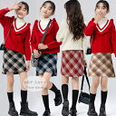 子供服 女の子 スカート チェック柄 スカート 誕生日 プレゼント おしゃれ スリムスカート 通学着 春着 秋着 冬着 キッズ ショート丈スカート 発表会 七五三 同窓会 ガールズ かわいい ボトムス スカート ブラック ブルー レッド モカ 110 120 130 140 150 160 165