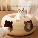 猫のトンネルのおもちゃの新型ファスナー猫のトンネルのおもちゃ猫のインタラクティブなおもちゃフェルトの材質猫の巣の折り畳み猫のトンネル猫の穴の穴のおもちゃ