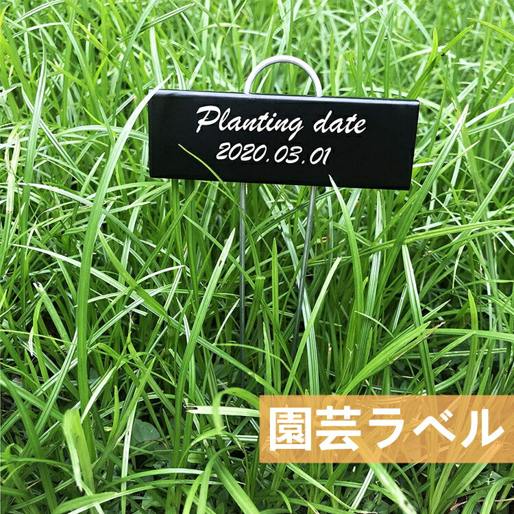 植物ラベル 鉄製 園芸用ラベル T型 防錆 花の名前タグ 10本セット 植物 園芸 ガーデン 盆栽タグ 立型 ..
