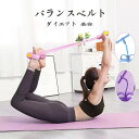 ヨガ ベルト ストラップ 初心者向け 使いやすい ストレッチ 3色 フィットネス スポーツ ダイエット 美容 バランスベルト ポージング 補助 ヨガワークス 送...