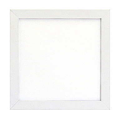 【オリムパスOLYMPUS】木製フレーム（額）W-55【取寄せ品】【C3-8-122-1】U-NG