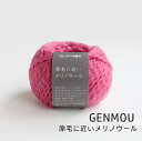 ※3・8番は欠品中※【横田 DARUMA】原毛に近いメリノウール 【C4-12-140-5】
