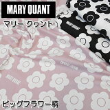 AP1020SMARY QUANTޥ꡼ ȡ ӥåեåϡ110cmʿ̡50cmˡC2-6-150-9U-2