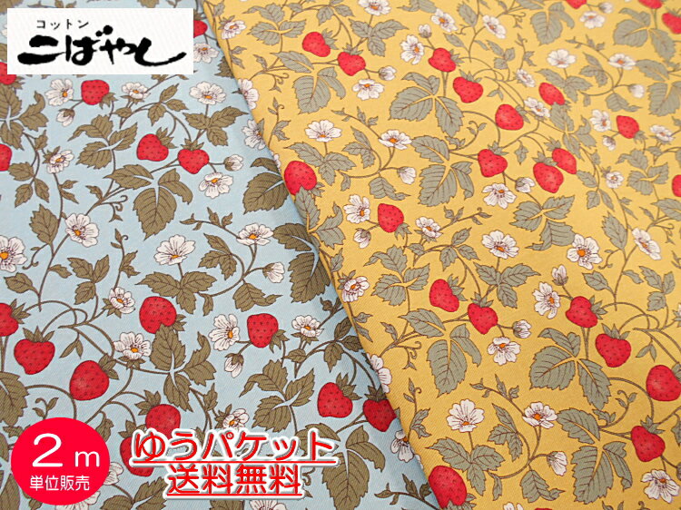 ★2m着分カット済み★ゆうパケット送料無料！★【こっとんこばやし】ツイルプリント生地「いちごと花」柄 約110cm幅 ◆◆◆ 【C2-6-154】