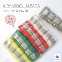 ★5玉セット★【DARUMA】エアリーウールアルパカ Airy Wool Alpaca■□ 【取寄せ品】【C4-11-140-5】