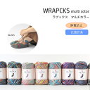 【ハマナカ】ラプックス《マルチカラー》◆◆ 【C4-12-125-3】