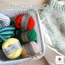 【DARUMA】エアリーウールアルパカ Airy Wool Alpaca ■□ 【C4-11-140-5】