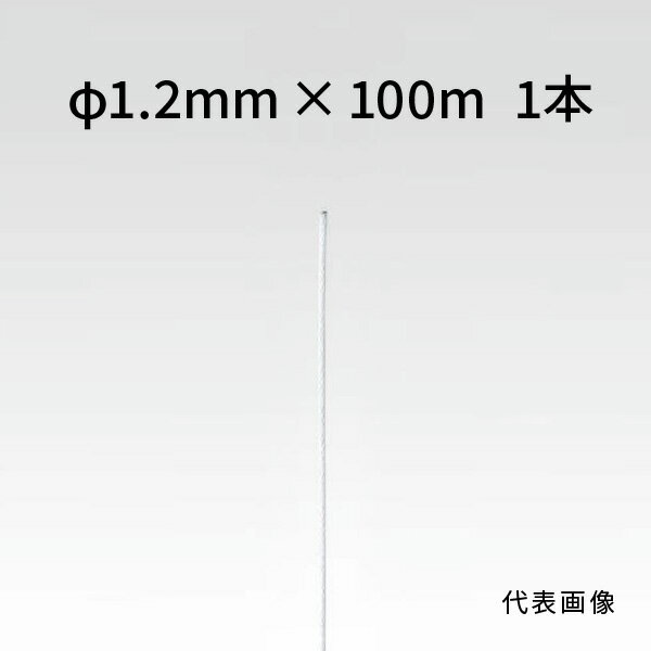 荒川技研 ストレートワイヤー ホワイト Φ1.2mm×100m 9