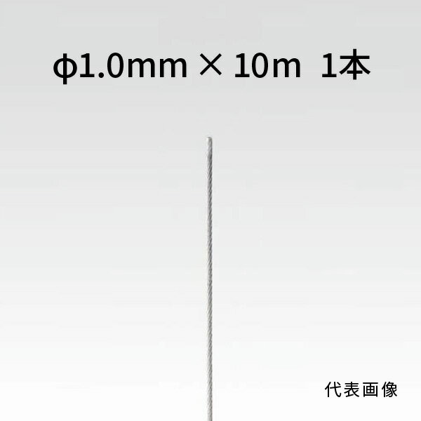荒川技研 ストレートワイヤー ステンレス Φ1.0mm×10m 