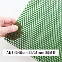 ネトロンシート AN3 巾 40cm 長さ 30m 目合 5×5mm 亀甲目 緑 タキロンシーアイシビル