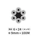 ワイヤーロープ 鉄 メッキ JIS 径9mm 100M 【6×24】