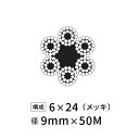 ワイヤーロープ 鉄 メッキ JIS 径9mm 50M 【6×24】