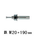 オールアンカー C-2019 ねじ径 M20 全長 190mm スチール サンコーテクノ【10本】(4)