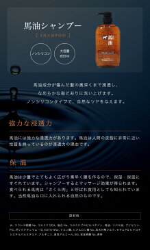 【1380円ぽっきり価格 & 送料無料】 馬油 シャンプー ＆ トリートメント ボトル 大容量　600ml　ノンシリコンシャンプー