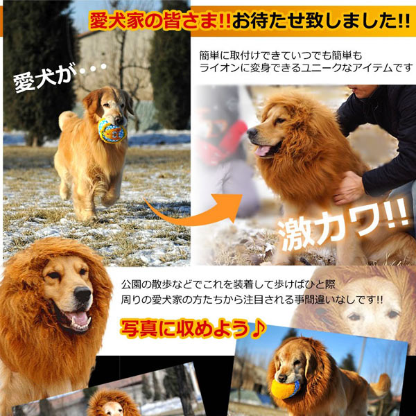 犬用 ライオン変身グッズ ネックウォーマー (sb)の紹介画像3
