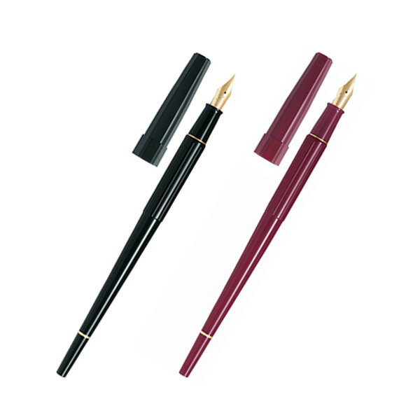 PILOT パイロット デスクペン 万年筆 