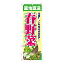のぼり旗 春野菜 季節の旬野菜 既製品のぼり 納期ご相談ください 600mm幅