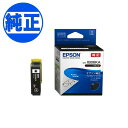 EPSON 純正インク IB06 メガネ インクカートリッジ ブラック IB06KA PX-S5010