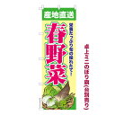 卓上ミニのぼり旗 春野菜 季節の旬野菜 既製品卓上ミニのぼり 納期ご相談ください 卓上サイズ13cm幅