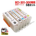 BCI-301+300/5MP専用 キヤノン用 BCI-301/300 プリンター目詰まり洗浄カートリッジ 5色用セット PIXUS TS7530