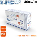 リラシーツ 使い捨て 防水 シーツ 抗菌 Sサイズ 40枚入 枕サイズ 介護 赤ちゃん ペット 汚れ防止 災害