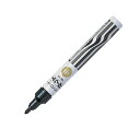 【マラソン8/25まで全品P10倍】 PILOT パイロット 油性マーカー中字 M-12F ブラックのみ