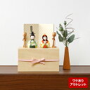 雛人形 コンパクト おしゃれ 木目込み雛 収納飾り 親王飾り 屏風 道具付 植物オブジェ付 bf-re-3-15