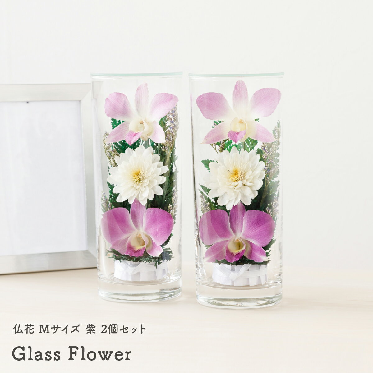   ~ ~ V~ ̓ Glass Flower MTCY  2Zbg ފ hV̓  H d 