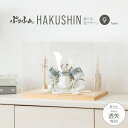 五月人形 コンパクト おしゃれ 兜飾り モダン インテリア 5月人形 ぷりふあ HAKUSHIN 透矢 W33 初節句 男の子 兜 子供の日