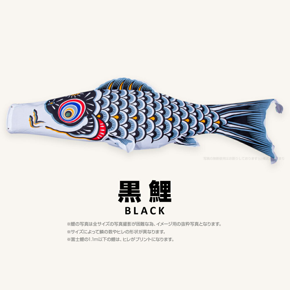 こいのぼり 単品 鯉のぼり 富士鯉 1.1m 単品鯉