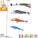 【4/21買い回りP最大3倍】 徳永鯉のぼり 吉兆鯉 2m 6点セット 庭園用スタンドセット 2025年初節句 端午の節句 こどもの日 こいのぼり