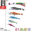 徳永鯉のぼり 吉兆鯉 7m 8点セット 庭園用大型セット ポール別売り 2026年初節句 端午の節句 こどもの日 こいのぼり