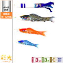 庭園用 こいのぼり 鯉のぼり SIRIUS/彩光鯉 3m 6点セット(吹流し+鯉3匹+矢車+ロープ) 庭園 ポール付属 ガーデンセット