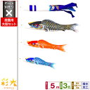庭園用 こいのぼり 鯉のぼり SIRIUS/彩光鯉 5m 6点(吹流し+鯉3匹+矢車+ロープ)/庭園大型セット【ポール 別売】