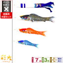 庭園用 こいのぼり 鯉のぼり SIRIUS/彩光鯉 7m 6点(吹流し+鯉3匹+矢車+ロープ)/庭園大型セット【ポール 別売】
