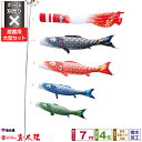 【4/20買い回りP最大7倍】 徳永鯉のぼり 真太陽 7m 7点セット 庭園用大型セット ポール別売り 2025年初節句 端午の節句 こどもの日 こいのぼり