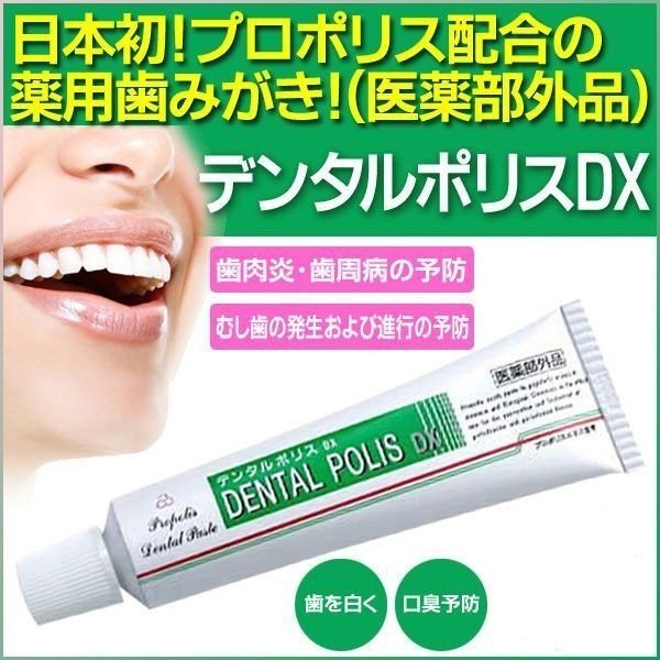 デンタルポリスDX 80g 【 安心の追跡番号付き 】k 歯磨き粉　医薬部外品