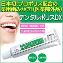 デンタルポリスDX 80g k 歯磨き粉　医薬部外品