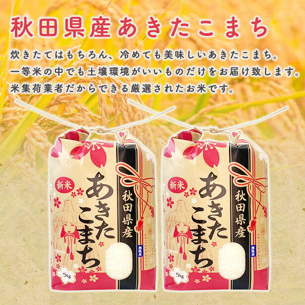 【無洗米5kg】令和3年産　秋田県産　あきたこまち　5kg　　米びつ当番【天鷹唐辛子】プレゼント付き　米　5kg　無洗米　送料無料