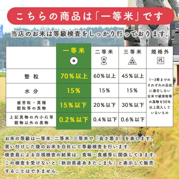 【白米5kg】秋田県産　あきたこまち　5kg　米びつ当番【天鷹唐辛子】プレゼント付き　選べる精米方法　玄米　白米　三分　五分　七分　精米したて　送料無料