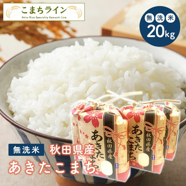 【無洗米20kg】令和5年産　秋田県産　あきたこまち20kg （5kg×4袋）　厳選されたおいしいお米米びつ当番【天鷹唐辛子】プレゼント付き贈り物