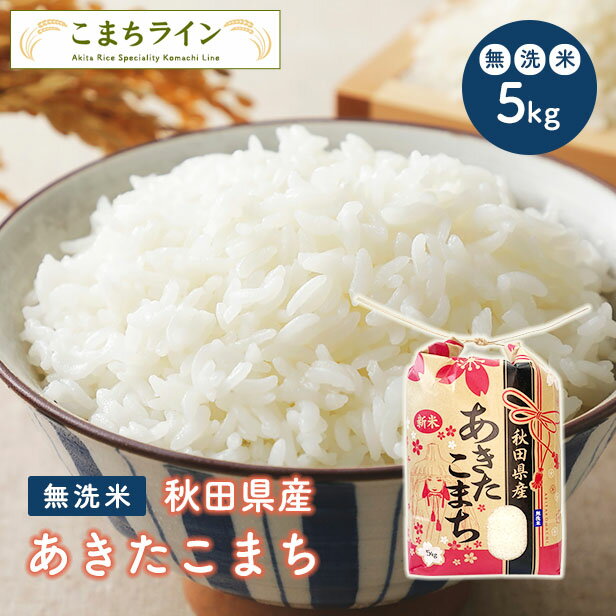 【無洗米5kg】令和5年産　秋田県産　あきたこまち　5kg　