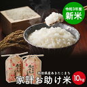 無洗米 ななつぼし 北海道産 10kg(5kg×2) 令和3年産 特Aお中元 お歳暮 工場直送 米 お米